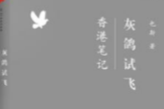 灰鸽试飞：香港笔记