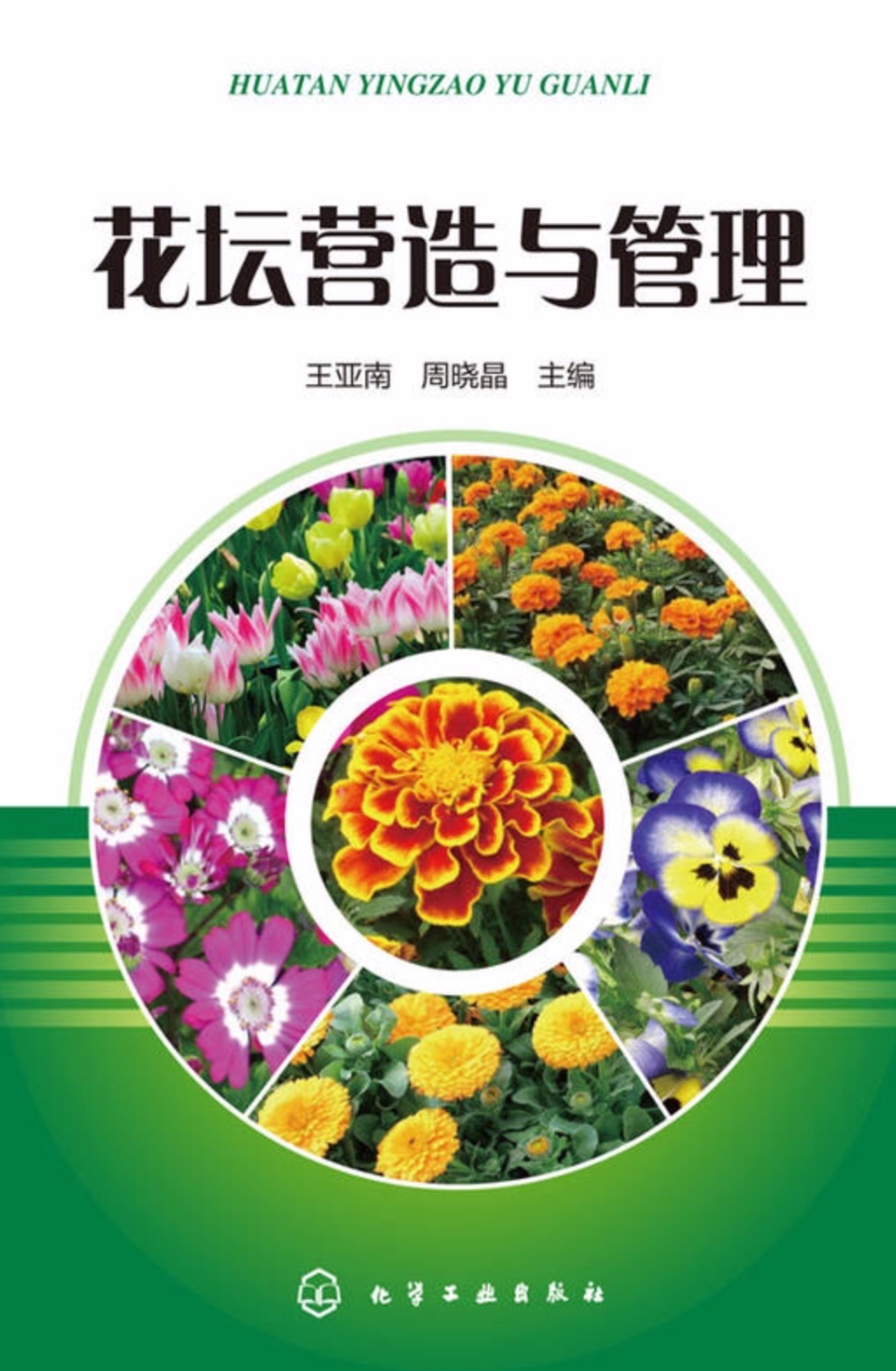 花坛营造与管理