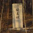 公主坟(北京安定门外雷桥村公主坟)
