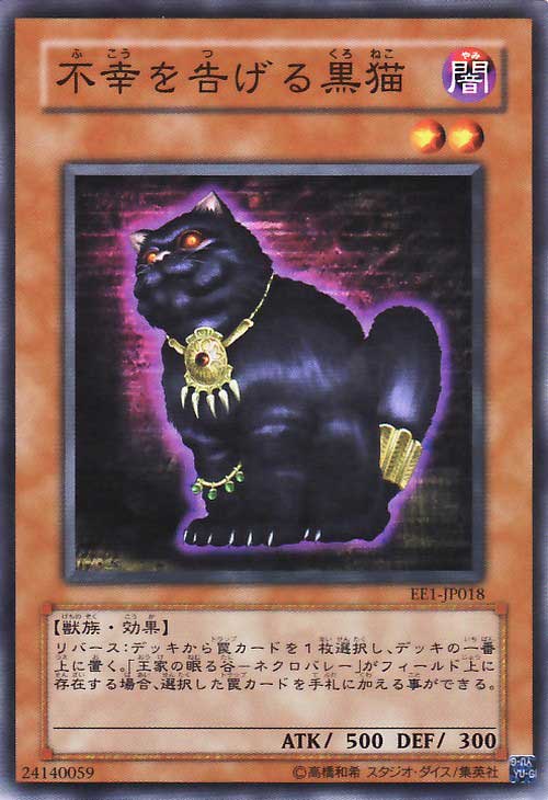告知不幸的黑猫 告知不幸的黑猫