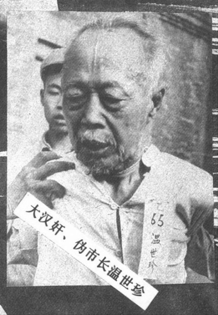 温世珍 温世珍