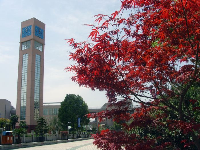 安徽省马鞍山市第二中学 安徽省马鞍山市第二中学