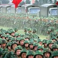 摩托化步兵师