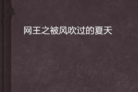 网王之被风吹过的夏天