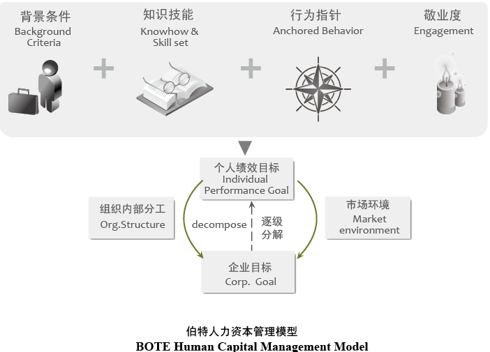人力资本管理 人力资本管理