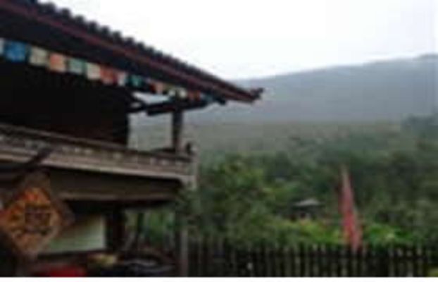 观音桥镇(四川邻水县观音桥镇)