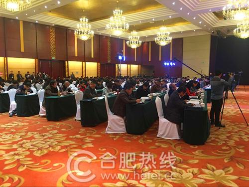 安徽省机动车驾驶培训行业协会成立大会 安徽省机动车驾驶培训行业协会成立大会