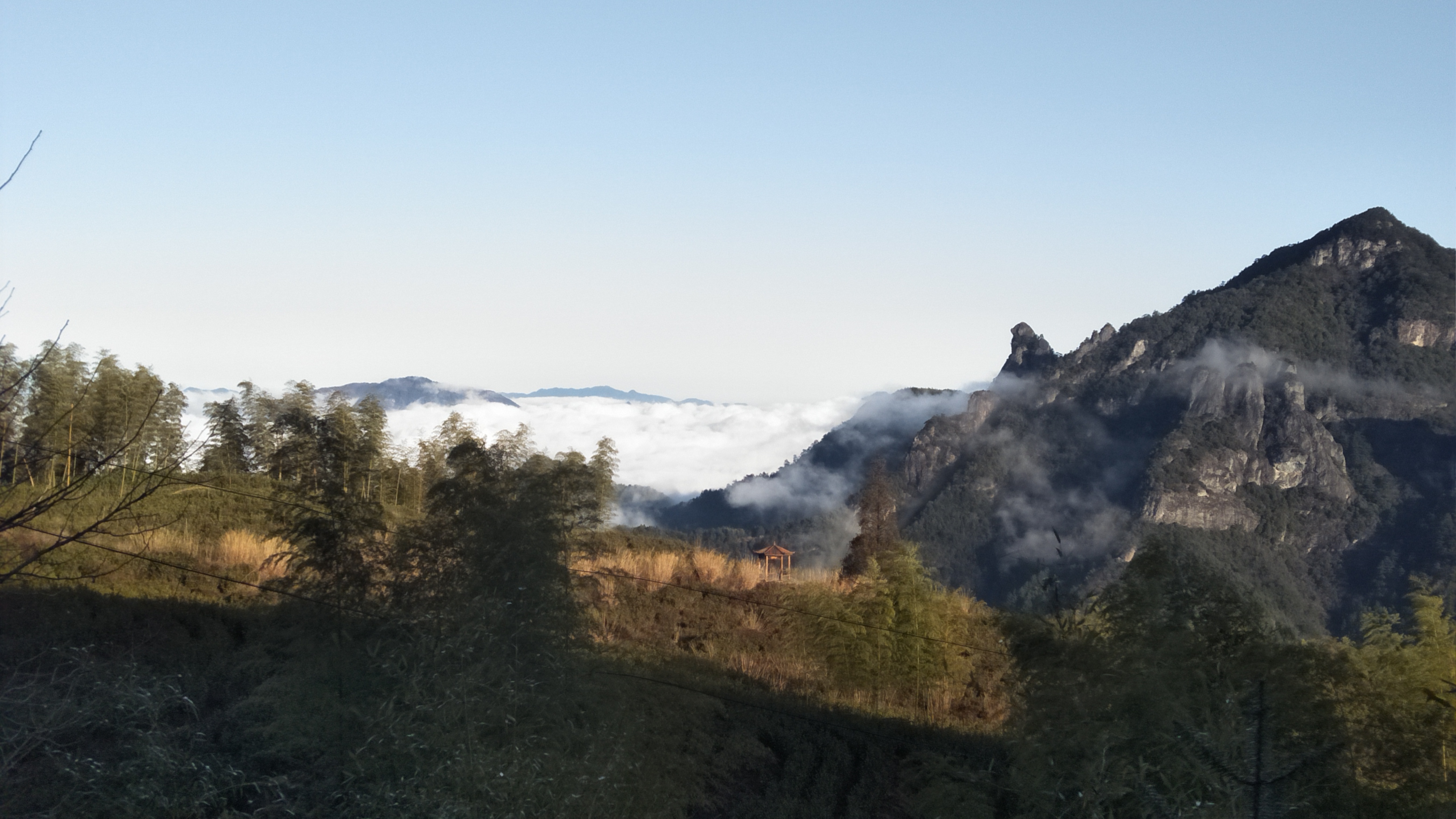 稠岭村
