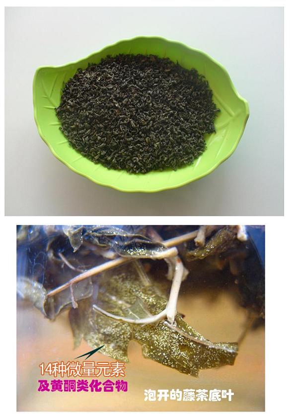 泡开后的"客家白茶"底叶 泡开后的"客家白茶"底叶