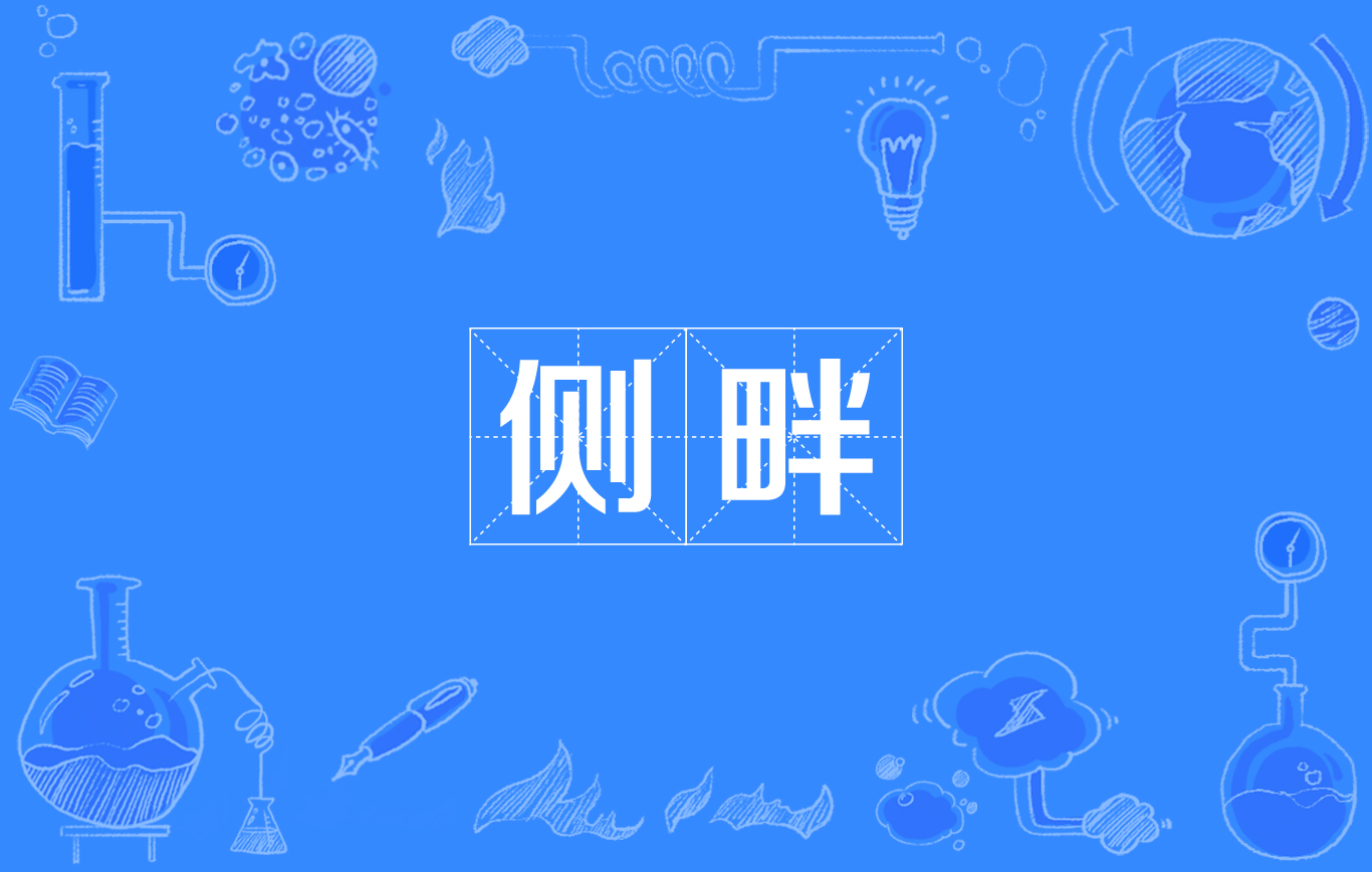 侧畔