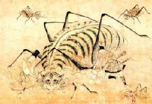 土蜘蛛 土蜘蛛