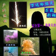 求救烟雾