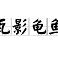 瓦影龟鱼