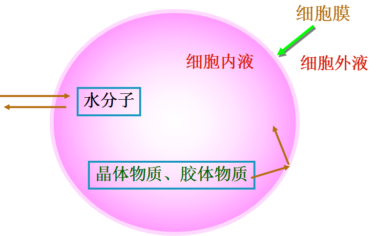 渗透压定律