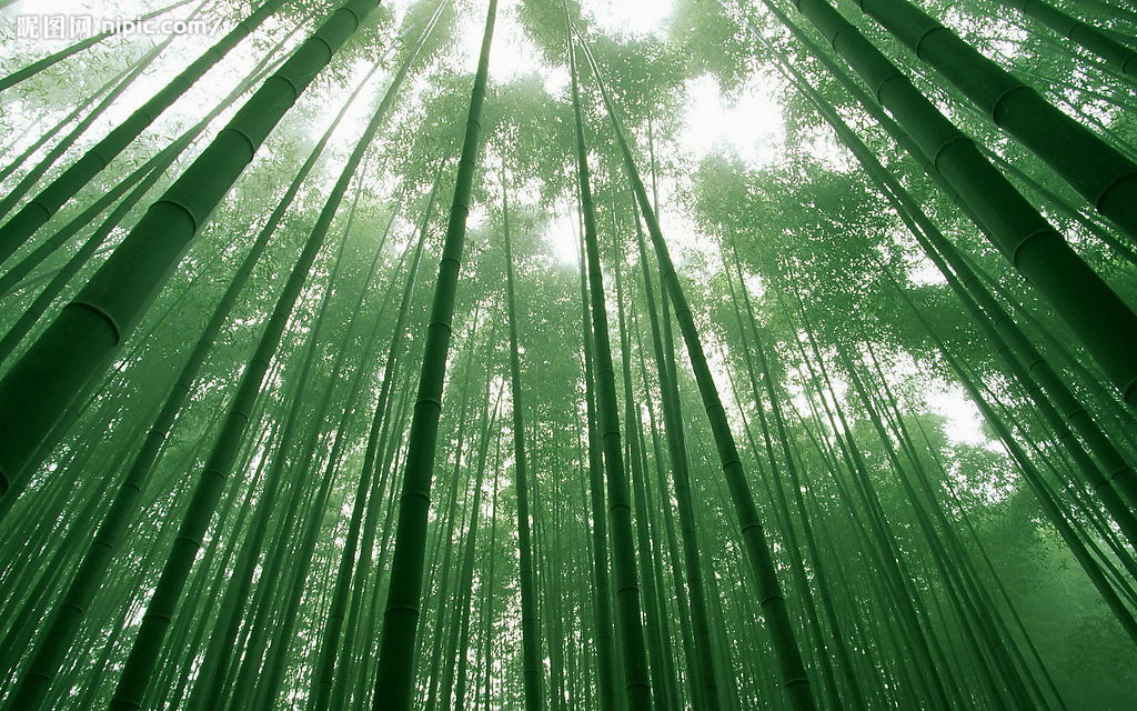 翠叶拂云戏笑 翠叶拂云戏笑